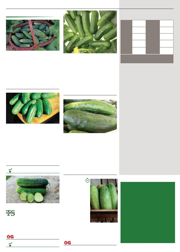 Flyer page 32