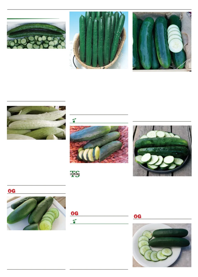 Flyer page 33