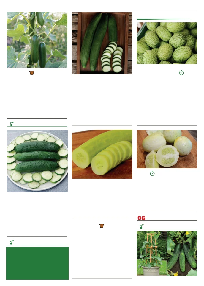 Flyer page 34