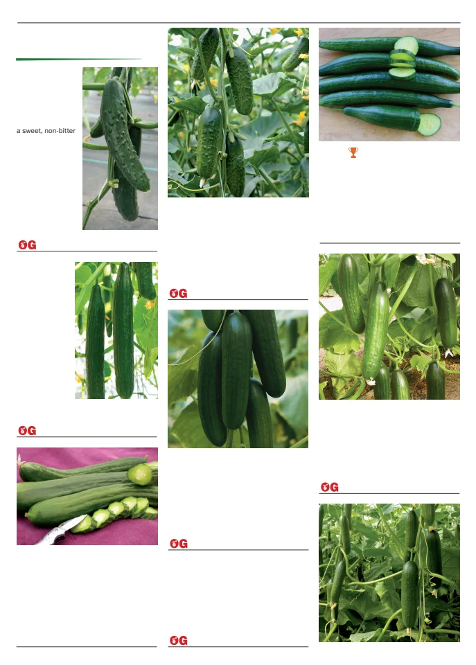 Flyer page 35