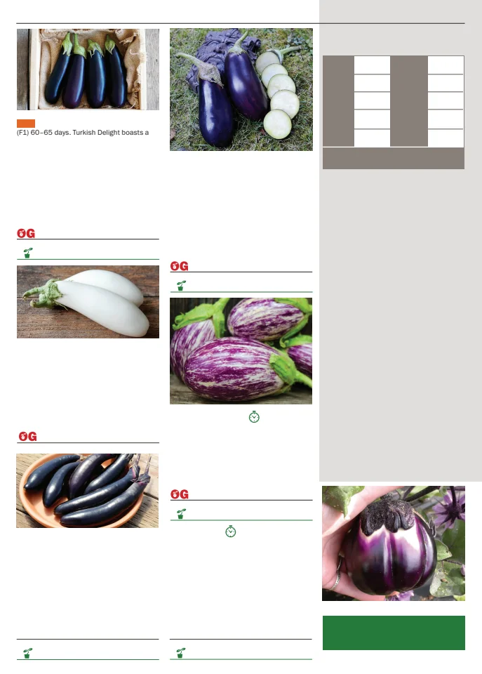 Flyer page 36