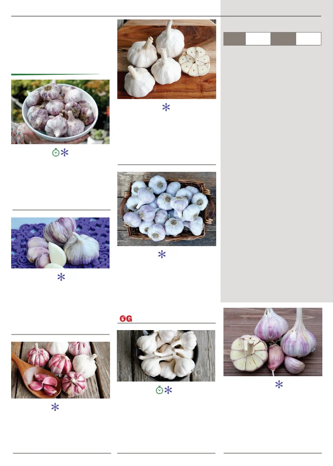 Flyer page 38