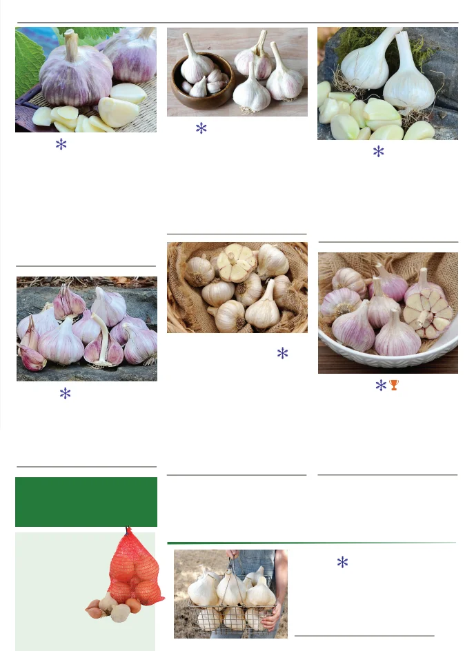 Flyer page 39