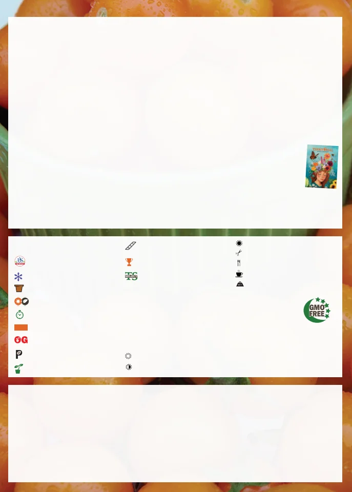 Flyer page 4
