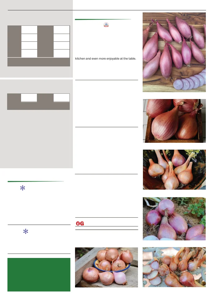 Flyer page 41