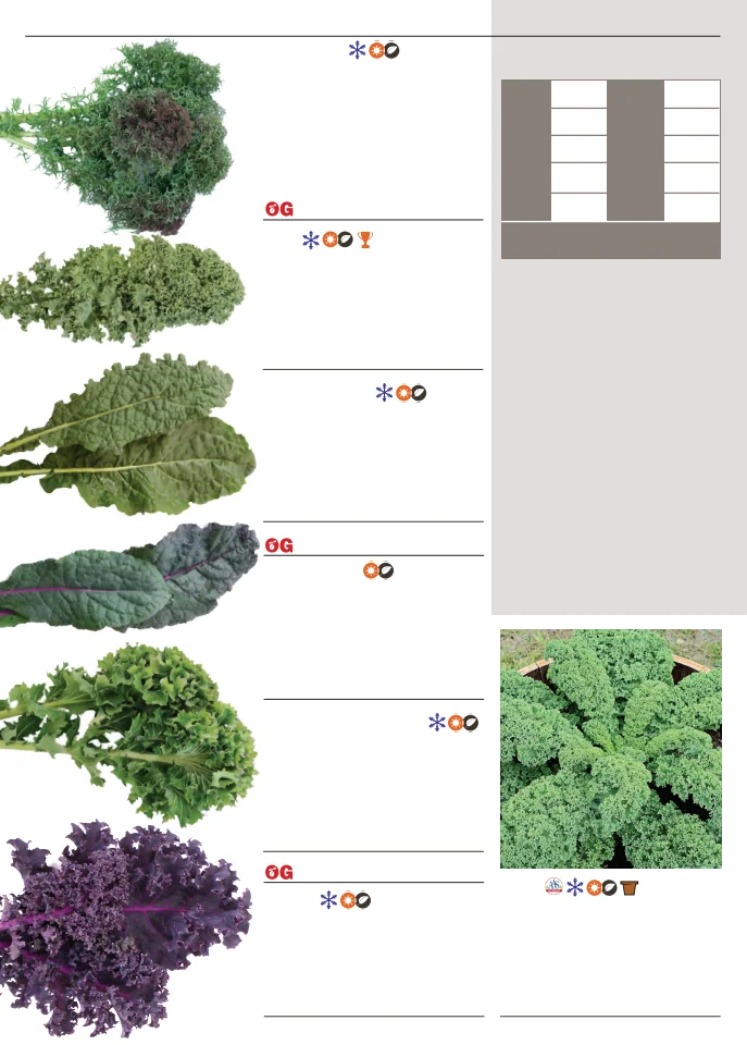 Flyer page 42