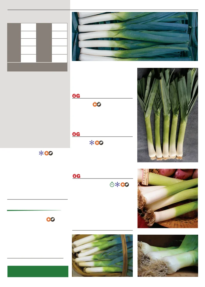 Flyer page 45