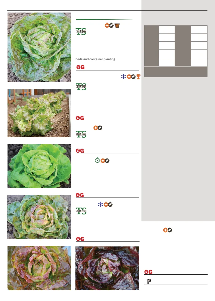 Flyer page 46