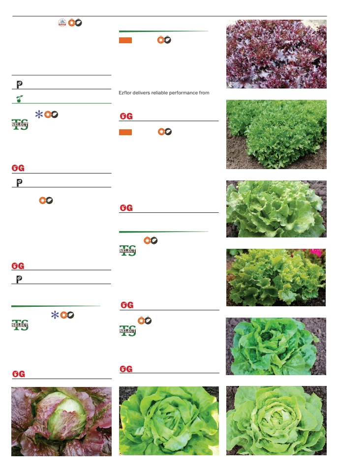 Flyer page 47