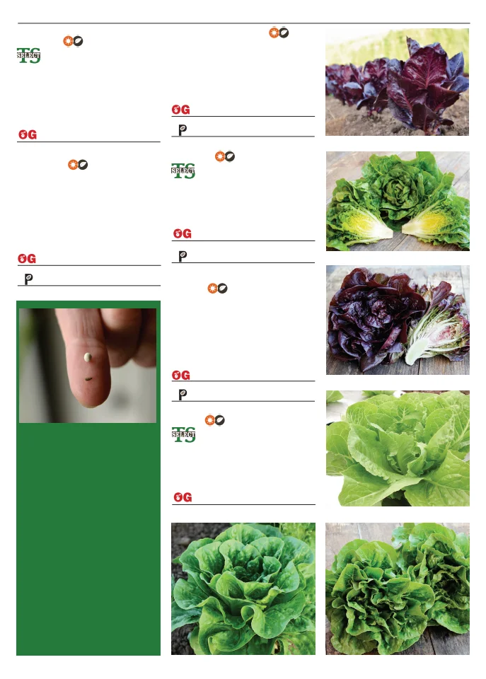 Flyer page 49