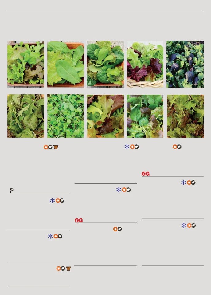 Flyer page 52