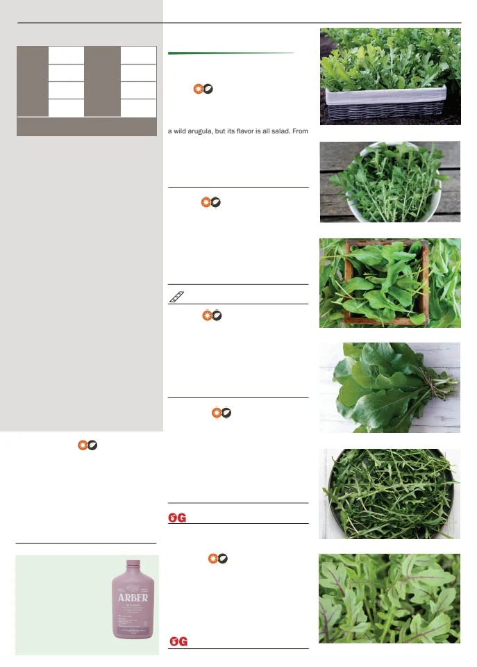 Flyer page 53