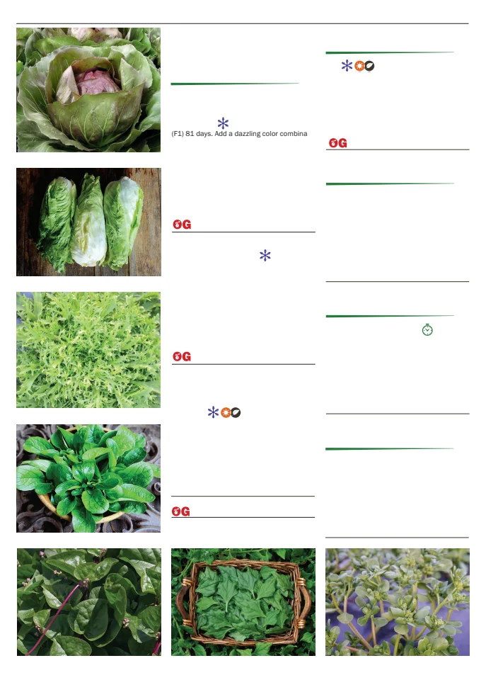 Flyer page 54