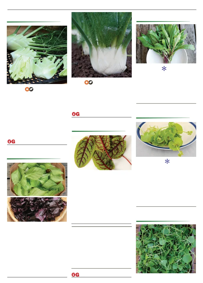 Flyer page 55
