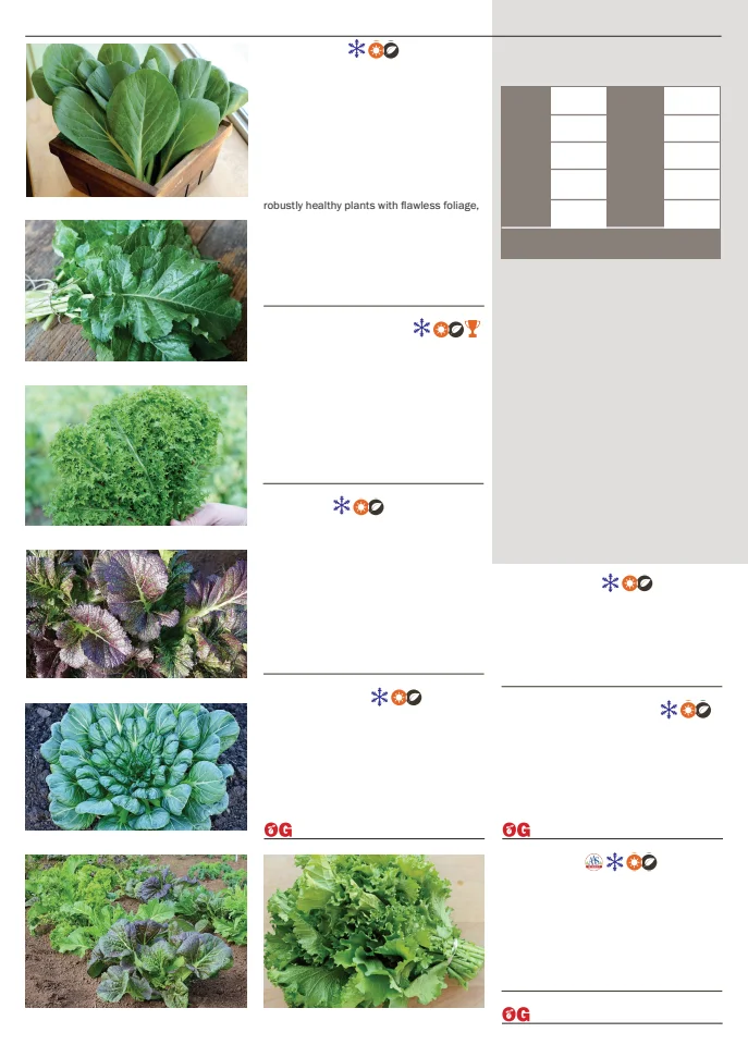 Flyer page 56