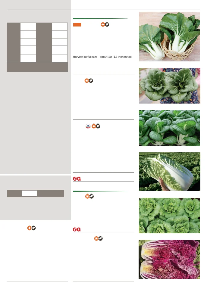 Flyer page 57