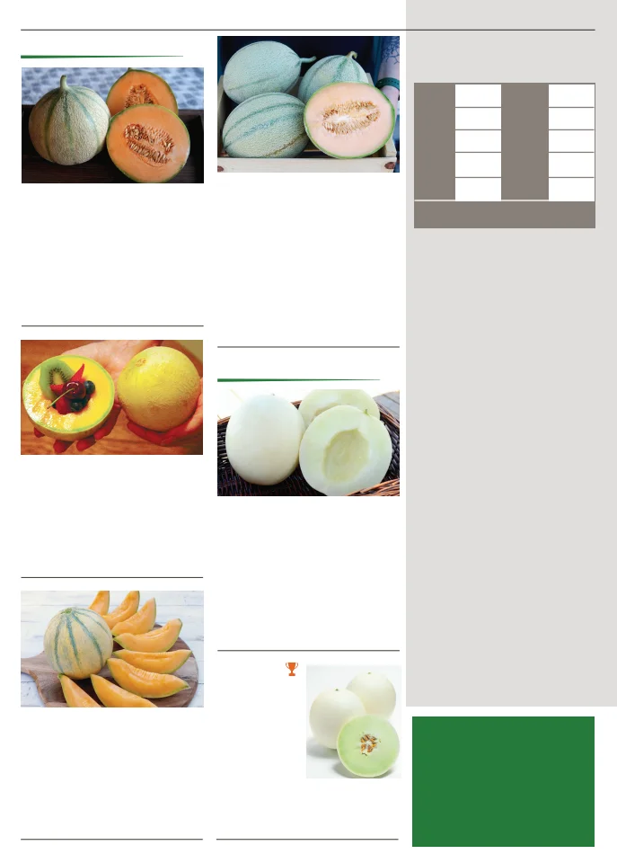 Flyer page 58