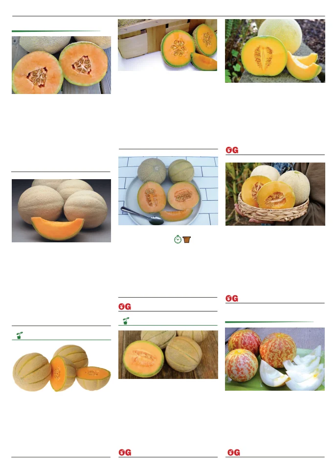 Flyer page 59