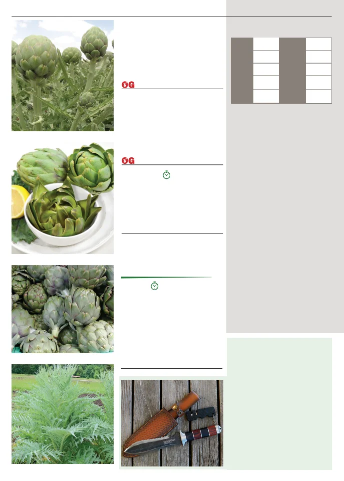 Flyer page 6