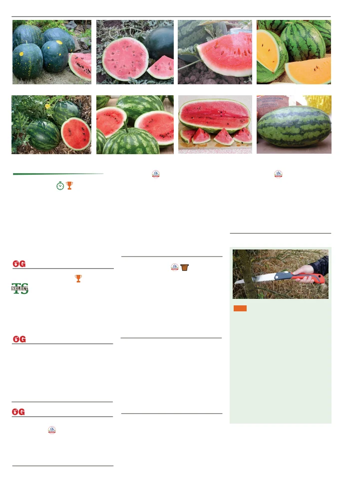 Flyer page 60