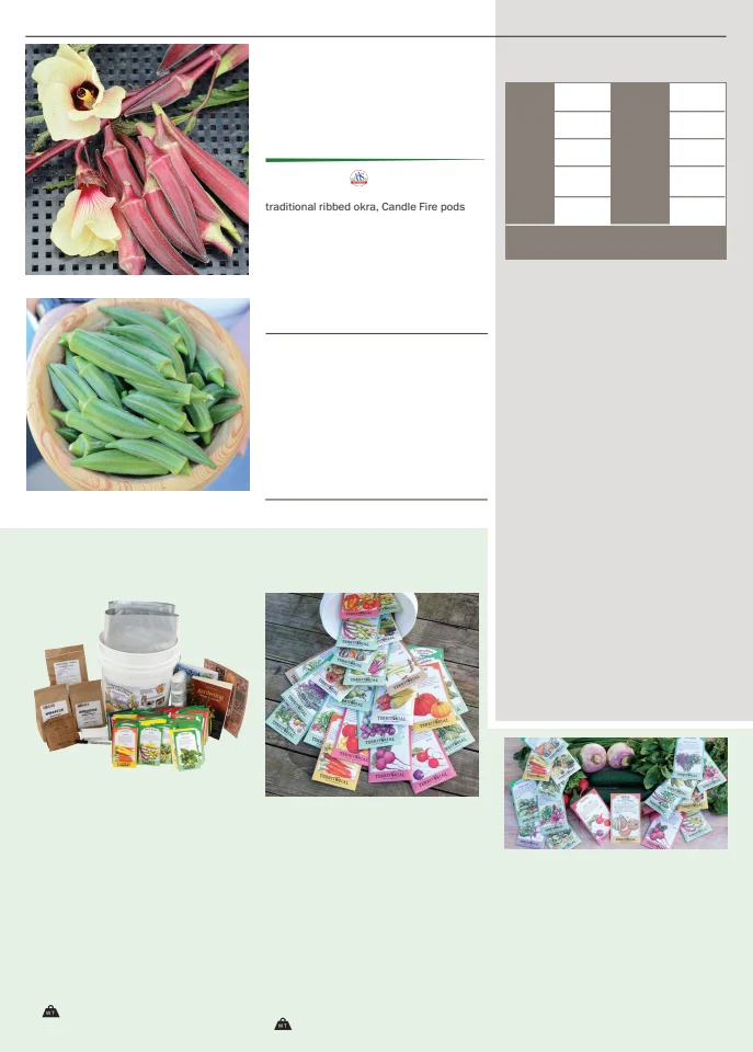 Flyer page 62