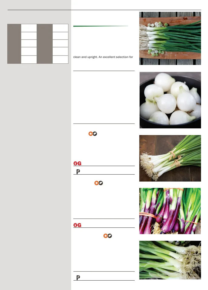 Flyer page 63