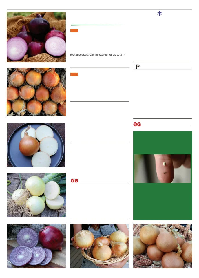 Flyer page 64