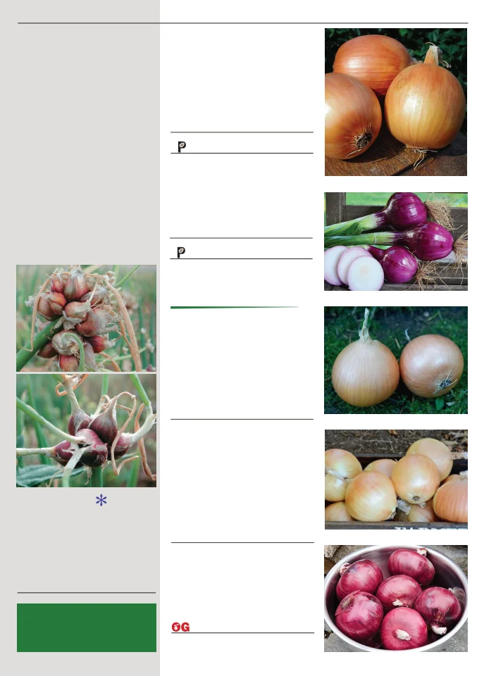Flyer page 65