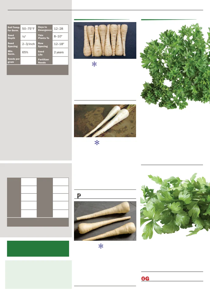 Flyer page 67