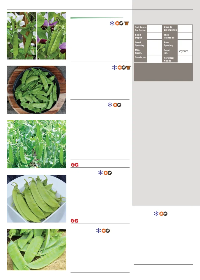 Flyer page 68
