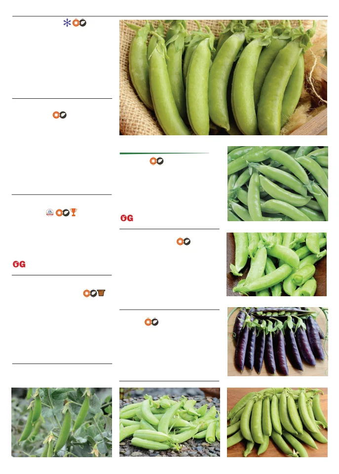 Flyer page 69
