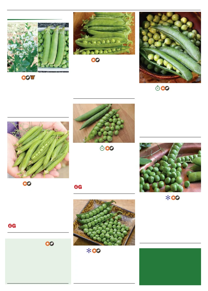 Flyer page 70