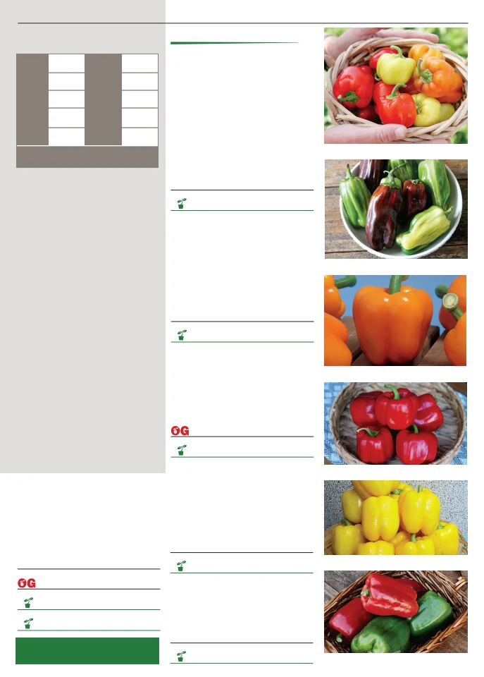 Flyer page 71