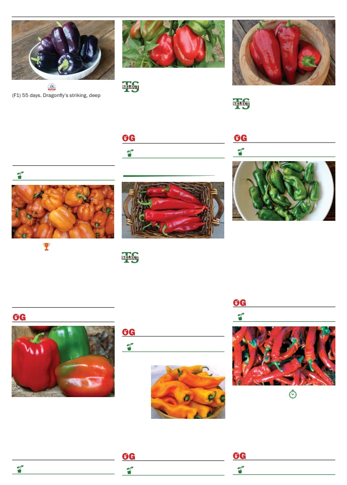 Flyer page 72