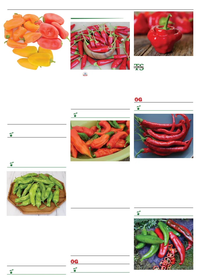 Flyer page 73