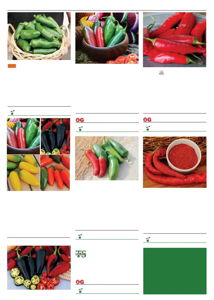 Flyer page 74