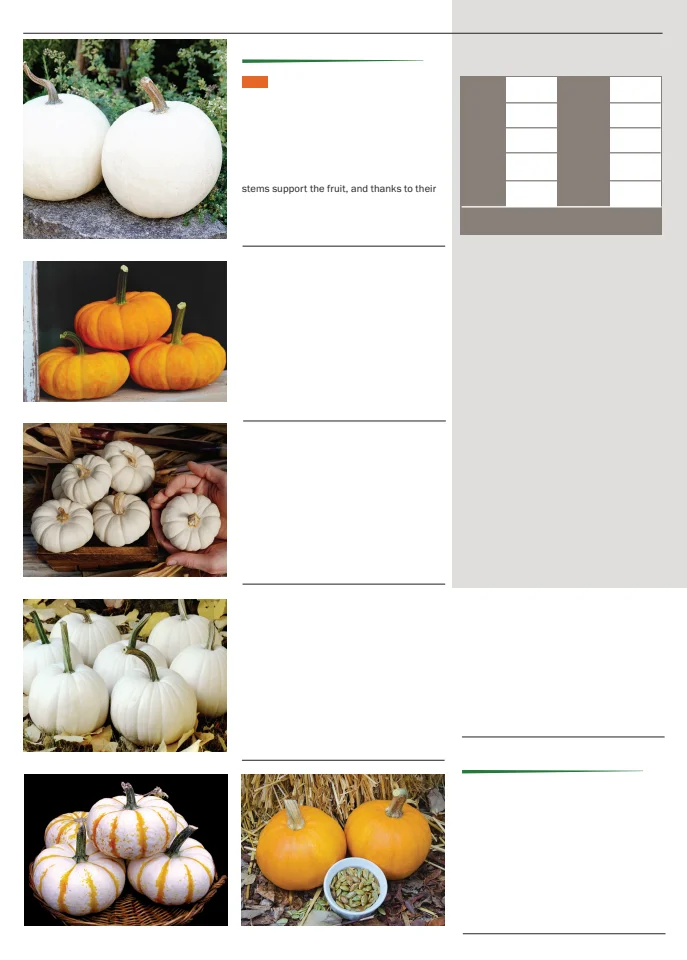 Flyer page 76