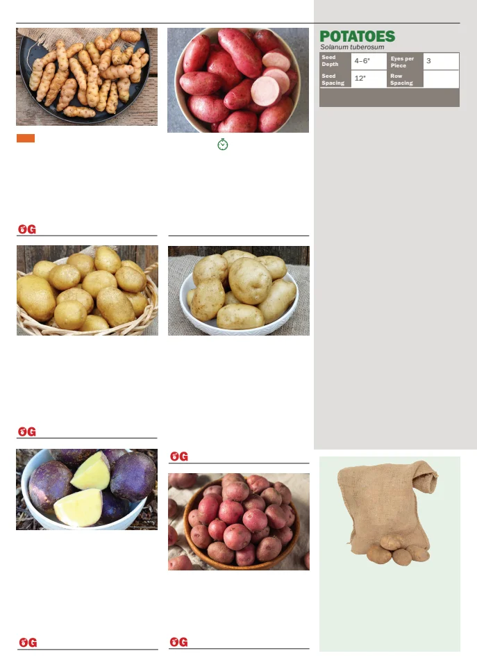 Flyer page 78