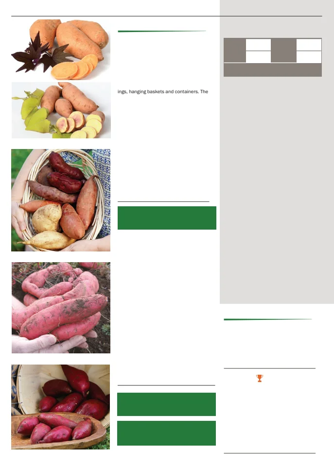 Flyer page 80