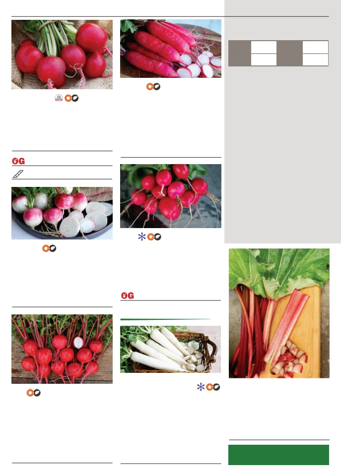 Flyer page 82