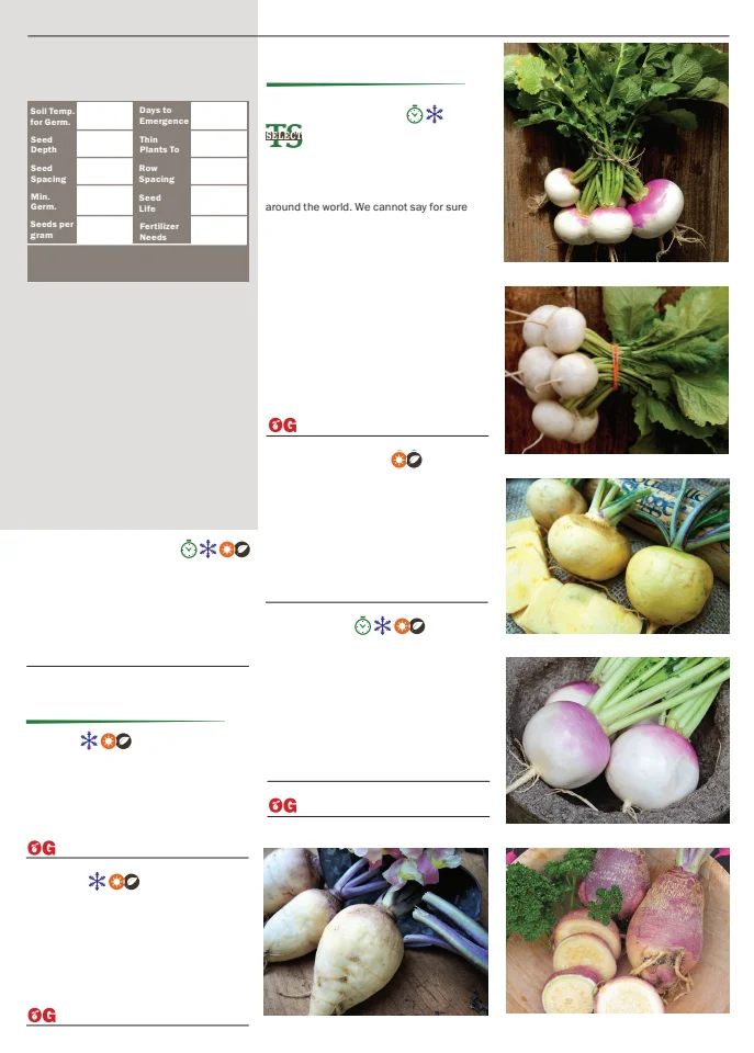 Flyer page 83