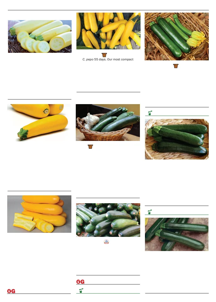 Flyer page 85