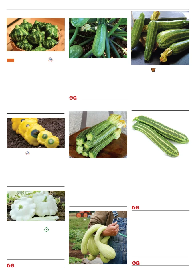 Flyer page 86