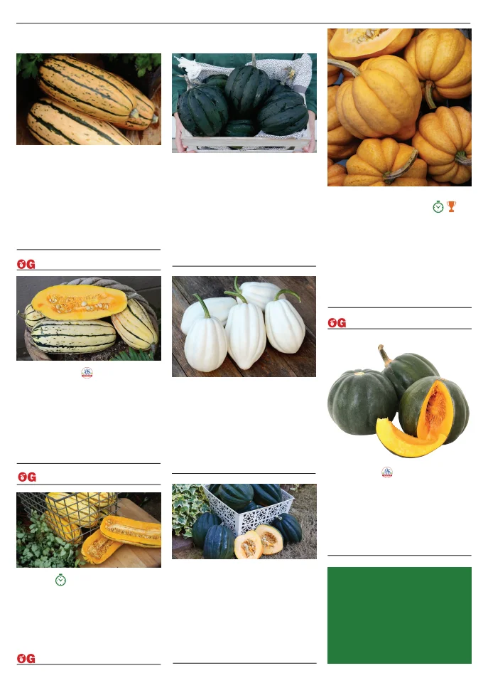 Flyer page 88