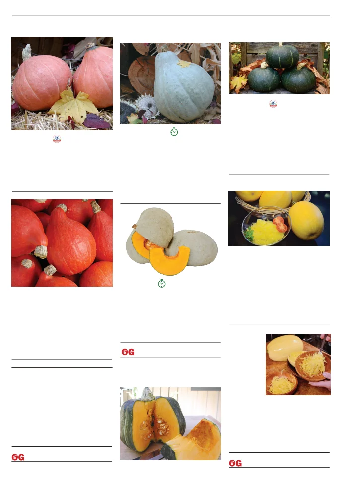 Flyer page 89
