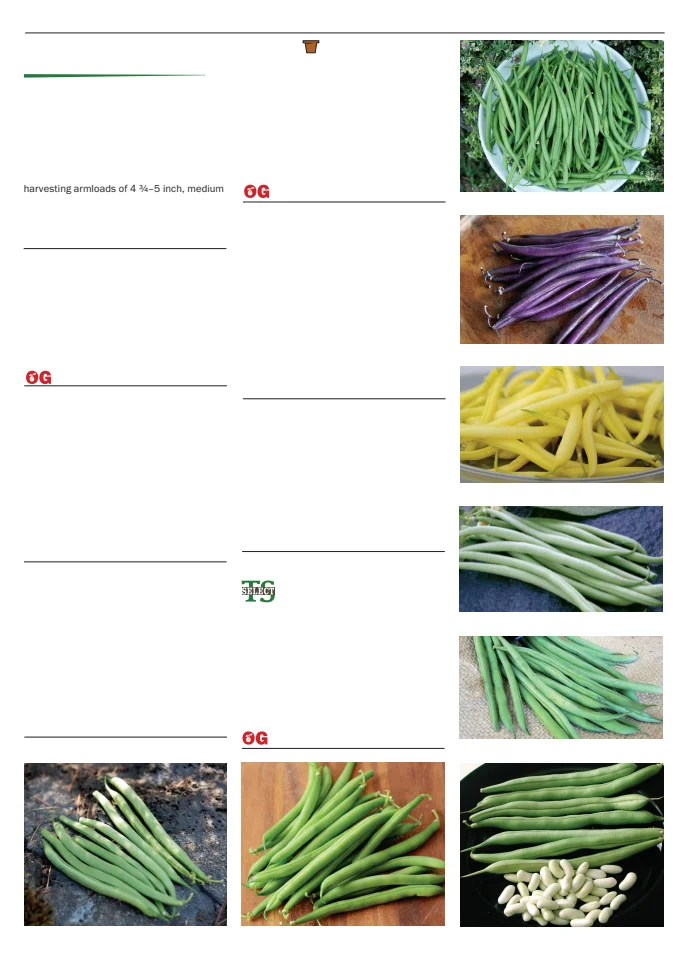 Flyer page 9