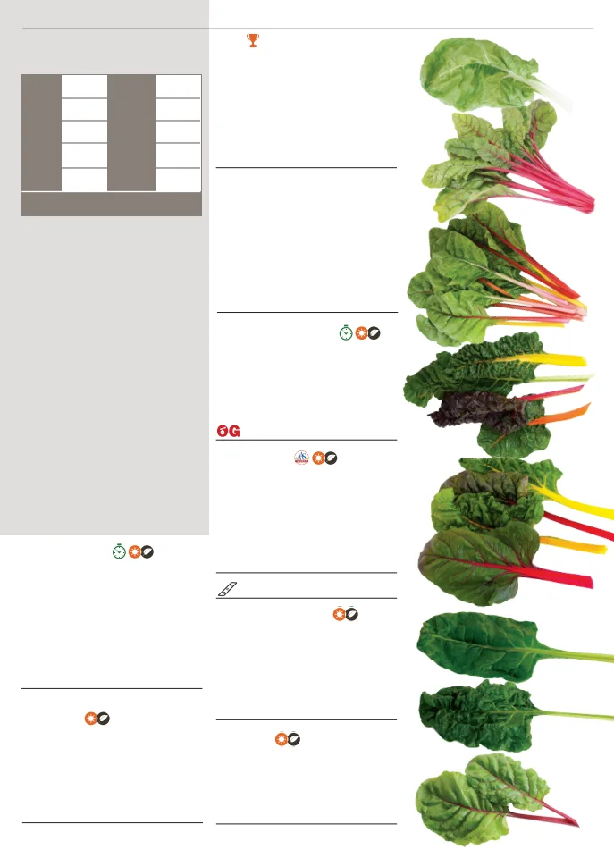 Flyer page 91