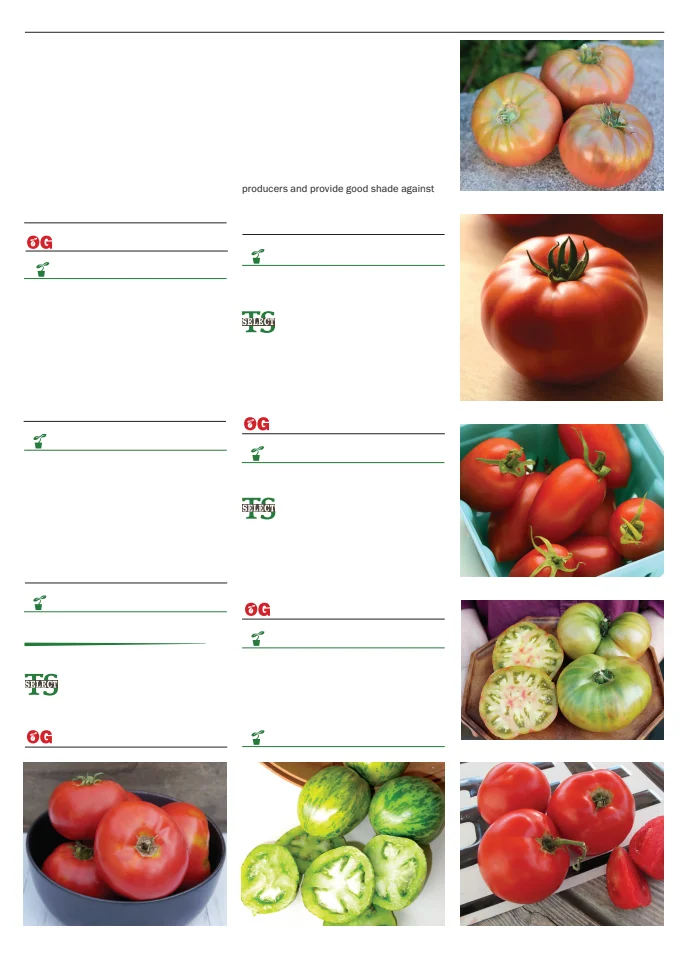 Flyer page 93