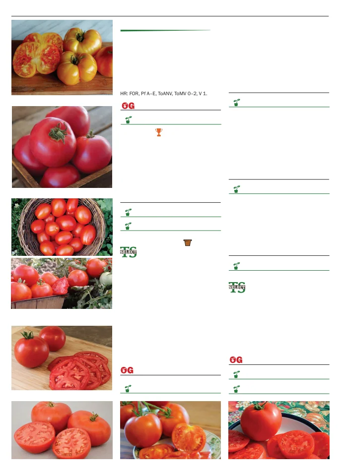 Flyer page 94