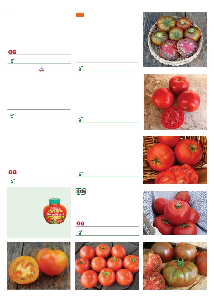 Flyer page 95